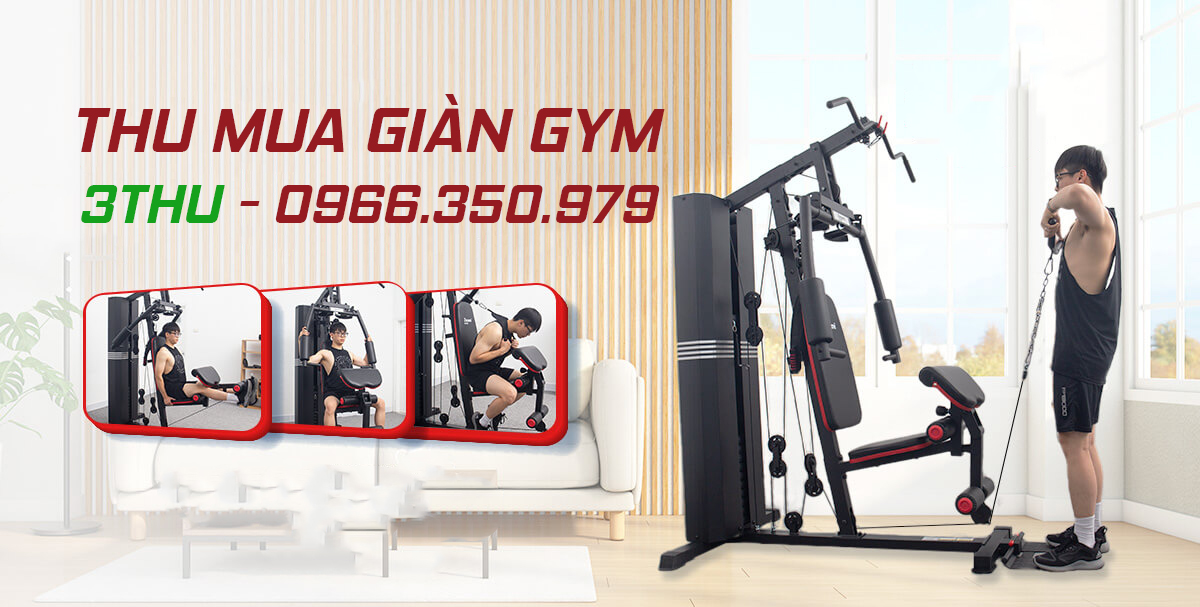 Thu mua máy tập gym các loại, thu tại nhà