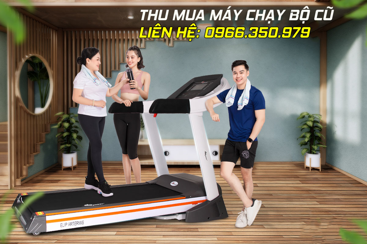 Thu mua máy chạy bộ đơn năng Elip và Kingsport