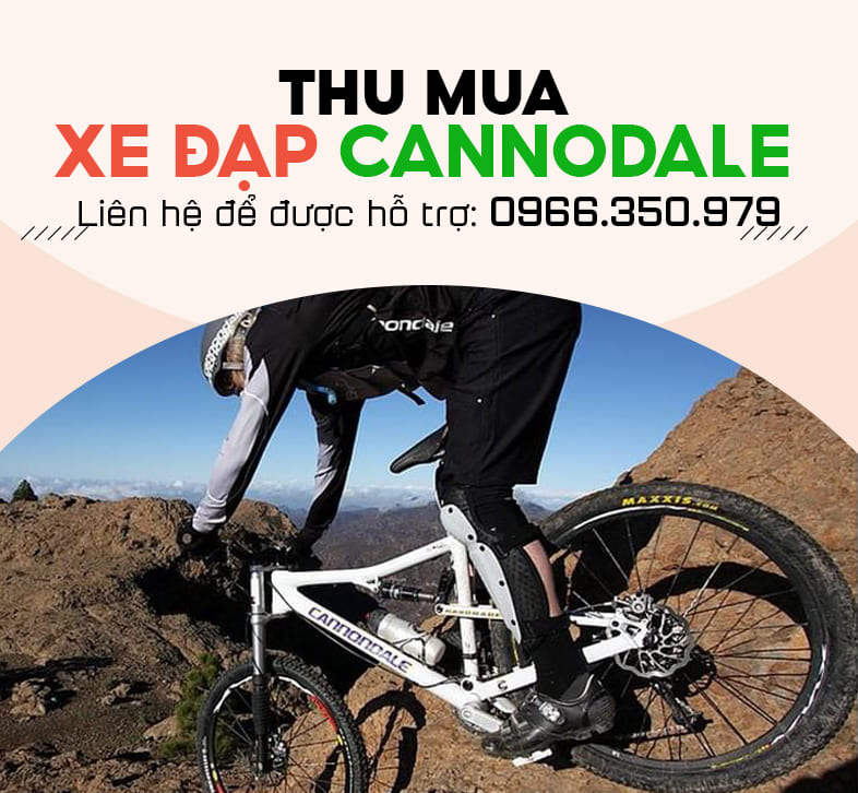 Thu mua xe đạp cao cấp Cannondale