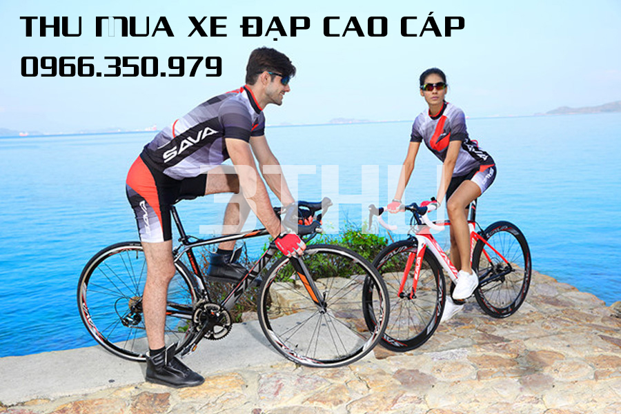 Thu mua xe đạp cao cấp, xe đạp carbon, thu tại nhà