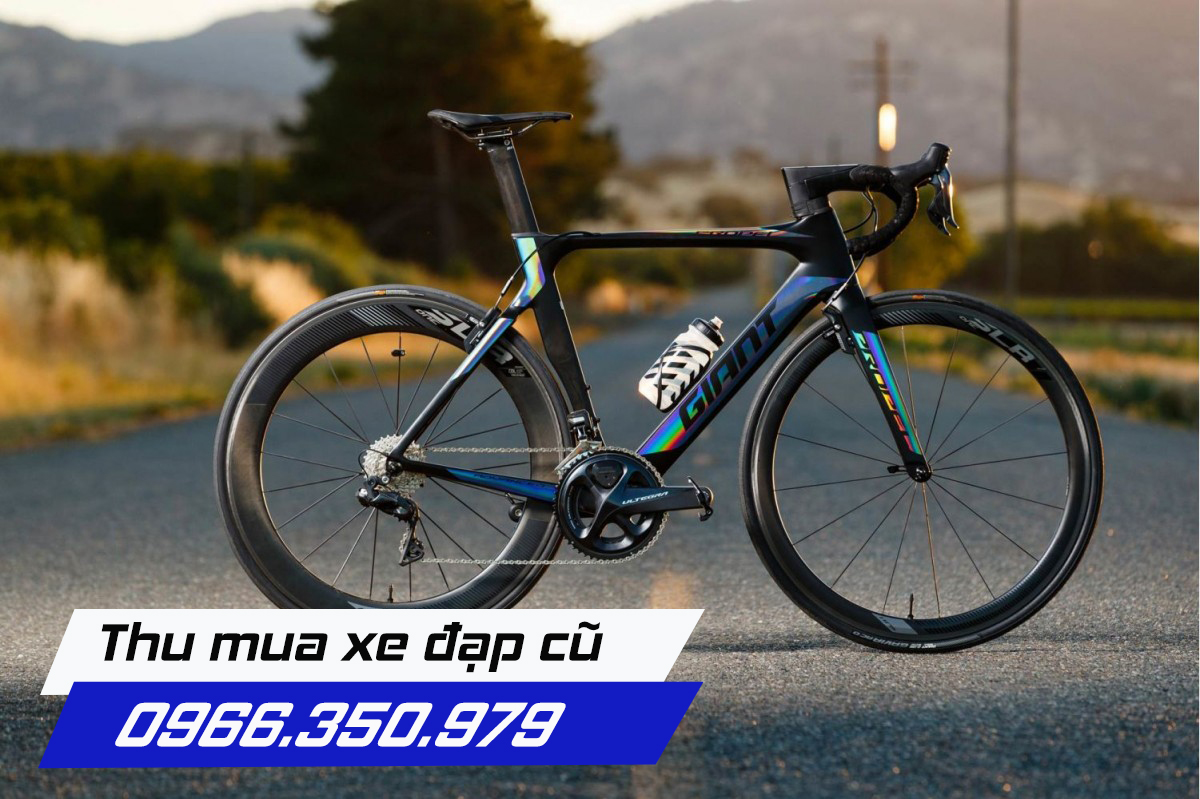 Thu mua xe đạp Trek, Giant, Cannondale, Sava, Java ở HCM, Bình Dương