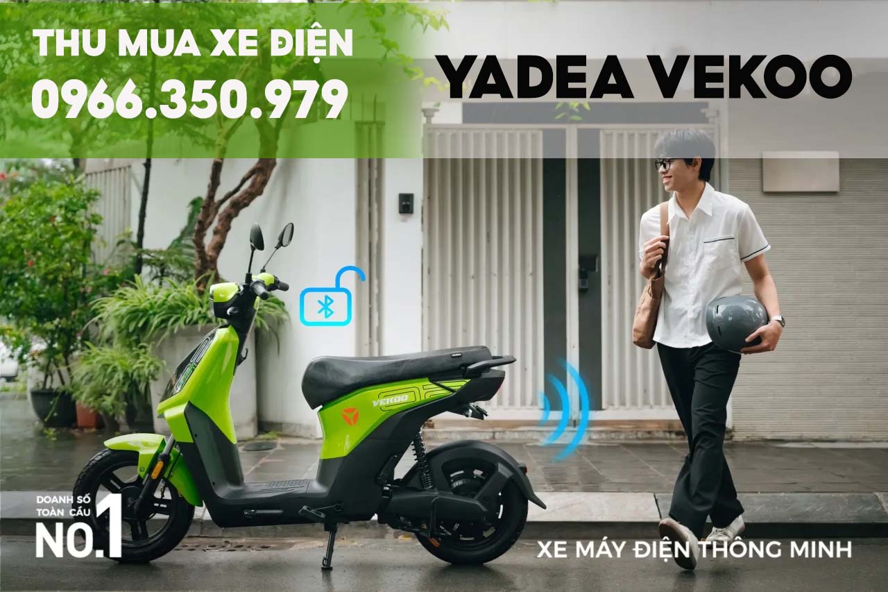 Thu mua xe điện Yadea Vekoo, thu tại nhà ở HCM